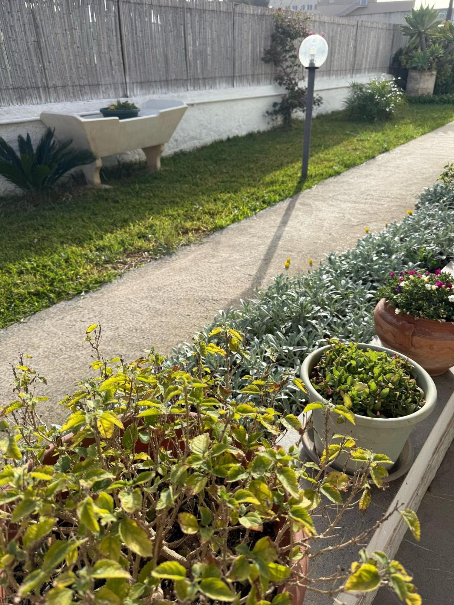 A Casa Di Coso B&B Marsala Ngoại thất bức ảnh